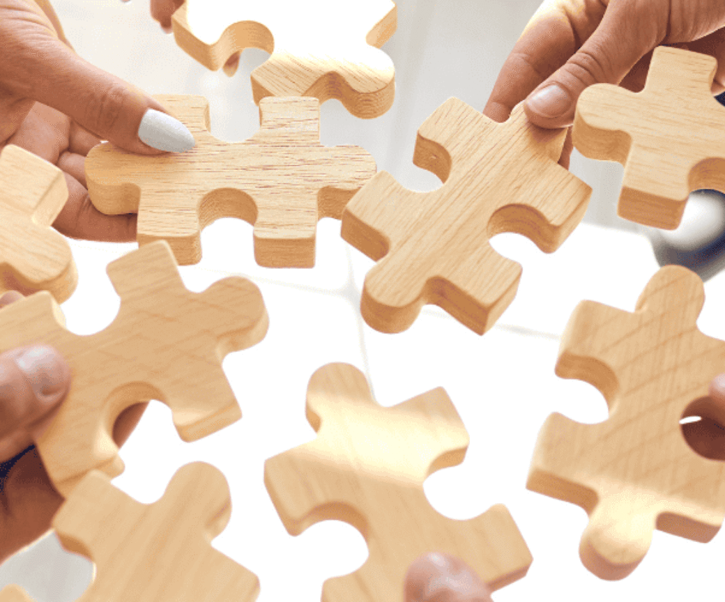 Zoom Partnership