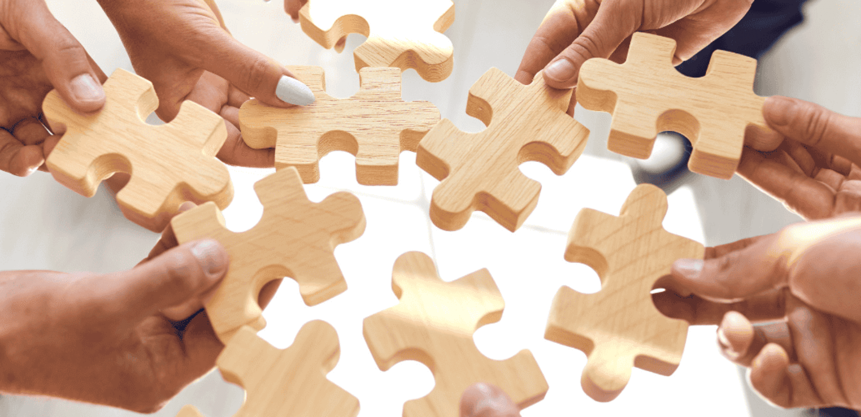 Zoom Partnership